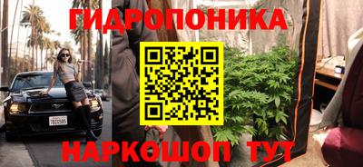 ГАЛЛЮЦИНОГЕННЫЕ ГРИБЫ Обь