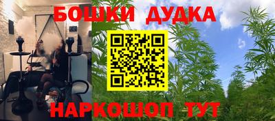 сатива Нягань